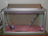 63 L aquarium